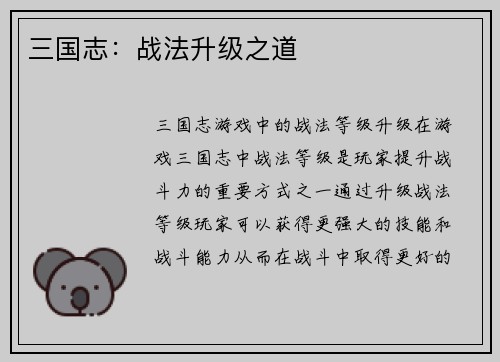 三国志：战法升级之道